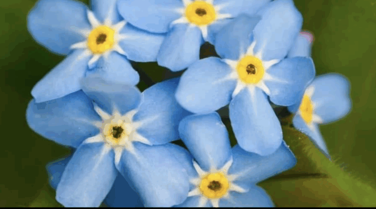 Screenshot 2025 04 25 at 10.53.25 am 768x427